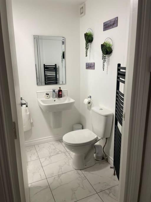 Modern 1-Bed Apartment Belfast Extérieur photo